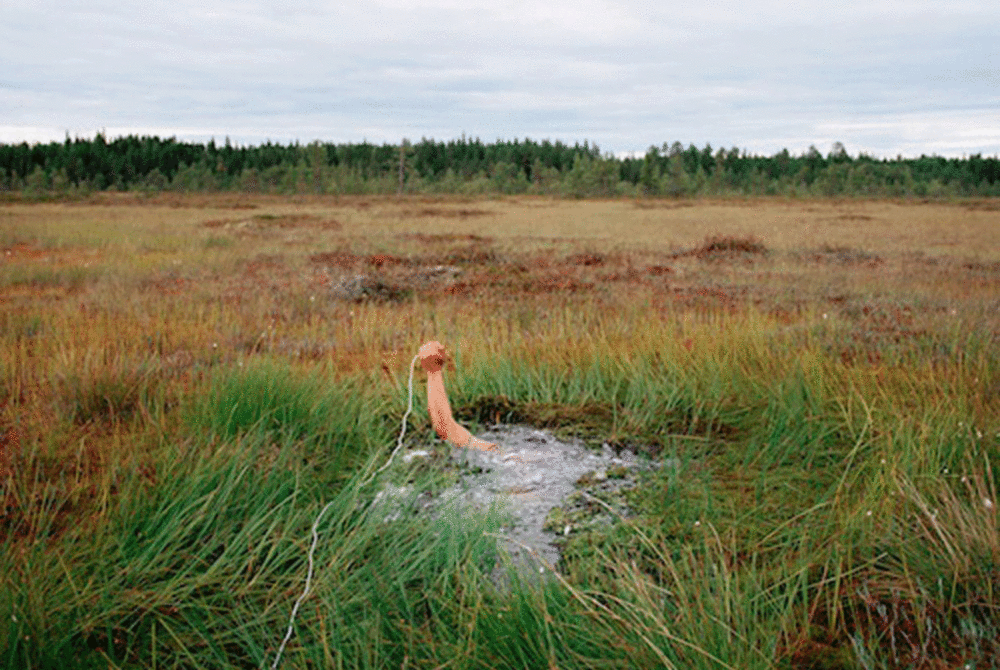Antti Laitinen, Self-portrait in the swamp, 2002
© COAL