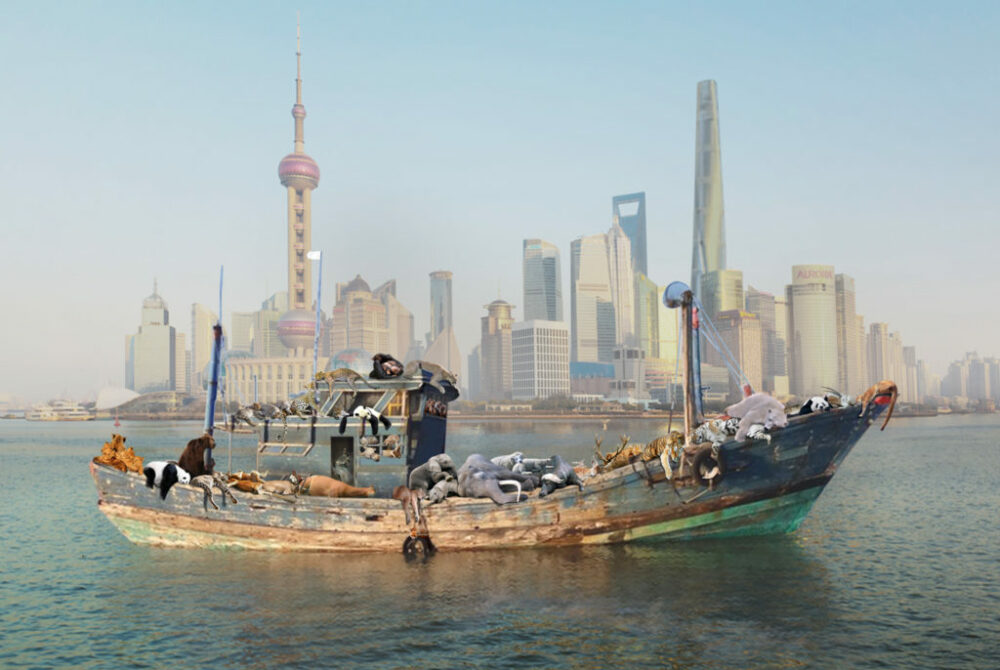 Prix COAL 2015 | Cai Guo-Qiang, The Ninth Wave sailing on the Huangpu River by the Bund, Shanghai, 2014 © JJY Photo, courtesy Cai Studio