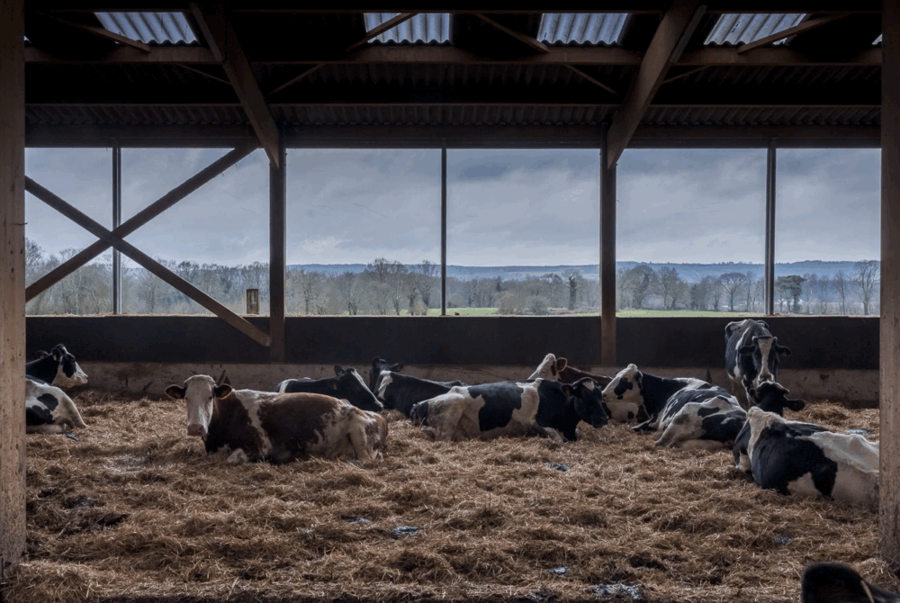 D'ici, de là © Sylvain Gouraud